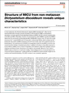 Structure of MICU from non-metazoan Dictyostelium discoideum reveals unique characteristics