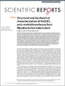 Structural and biochemical characterization of Rv0187, an O-methyltransferase from Mycobacterium tuberculosis