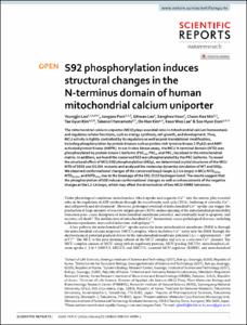 S92 phosphorylation induces structural changes in the N-terminus domain of human mitochondrial calcium uniporter