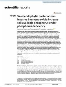Seed endophytic bacteria from invasive Lactuca serriola increase soil available phosphorus under phosphorus deficiency