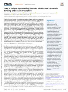 Tctp, a unique Ing5-binding partner, inhibits the chromatin binding of Enok in Drosophila