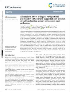 Antibacterial effect of copper nanoparticles produced in a Shewanella-supported non-external circuit bioelectrical system on bacterial plant pathogens