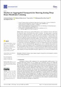 Studies on Aggregated Nanoparticles Steering during Deep Brain Membrane Crossing