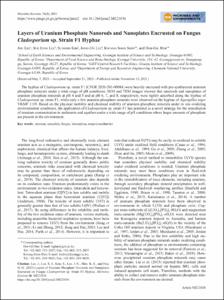 Layers of uranium phosphate nanorods and nanoplates encrusted on fungus cladosporium sp. Strain f1 hyphae
