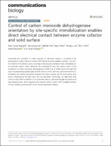 Control of carbon monoxide dehydrogenase orientation by site-specific immobilization enables direct electrical contact between enzyme cofactor and solid surface