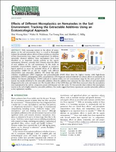 Effects of Different Microplastics on Nematodes in the Soil Environment: Tracking the Extractable Additives Using an Ecotoxicological Approach