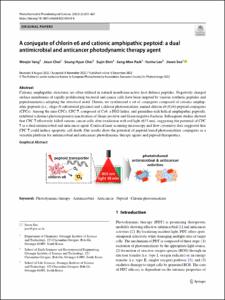 A conjugate of chlorin e6 and cationic amphipathic peptoid: a dual antimicrobial and anticancer photodynamic therapy agent