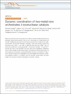 Dynamic coordination of two-metal-ions orchestrates lambda-exonuclease catalysis