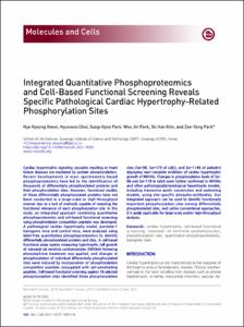 Integrated Quantitative Phosphoproteomics and Cell-Based Functional Screening Reveals Specific Pathological Cardiac Hypertrophy-Related Phosphorylation Sites