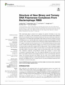 Structure of New Binary and Ternary DNA Polymerase Complexes From Bacteriophage RB69