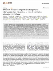 SARS-CoV-2 infection engenders heterogeneous ribonucleoprotein interactions to impede translation elongation in the lungs