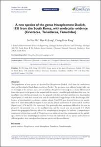 A new species of the genus Hexapleomera Dudich, 1931 from the South Korea, with molecular evidence (Crustacea, Tanaidacea, Tanaididae)