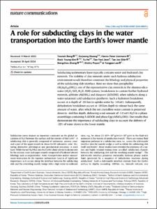 A role for subducting clays in the water transportation into the Earth’s lower mantle