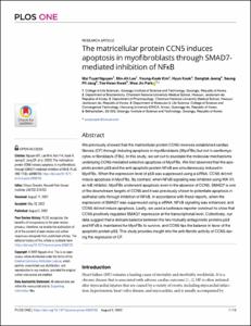 The matricellular protein CCN5 induces apoptosis in myofibroblasts through SMAD7-mediated inhibition of NF kappa B