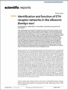 Identification and function of ETH receptor networks in the silkworm Bombyx mori