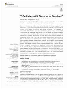 T Cell Microvilli: Sensors or Senders?