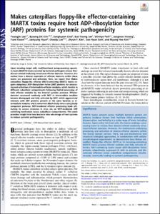 Makes caterpillars floppy-like effector-containing MARTX toxins require host ADP-ribosylation factor (ARF) proteins for systemic pathogenicity