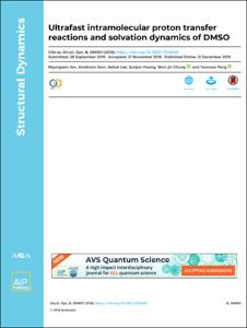 Ultrafast intramolecular proton transfer reactions and solvation dynamics of DMSO