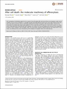 After cell death: the molecular machinery of efferocytosis