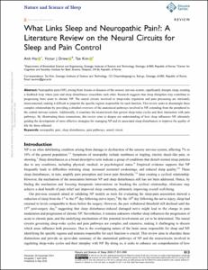 What Links Sleep and Neuropathic Pain?: A Literature Review on the Neural Circuits for Sleep and Pain Control