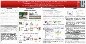 Unveiling the hidden threat: Paint microplastics and their extractable organics in soil