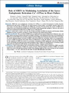Role of SIRT1 in Modulating Acetylation of the Sarco-Endoplasmic Reticulum Ca2+-ATPase in Heart Failure