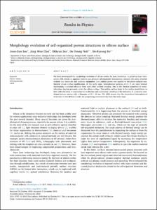 Morphology evolution of self-organized porous structures in silicon surface