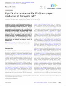 Cryo-EM structures reveal the H+ /citrate symport mechanism of Drosophila INDY