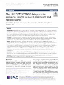 The JAK2/STAT3/CCND2 Axis promotes colorectal Cancer stem cell persistence and radioresistance