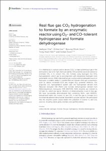 Real flue gas CO2 hydrogenation to formate by an enzymatic reactor using O2- and CO-tolerant hydrogenase and formate dehydrogenase