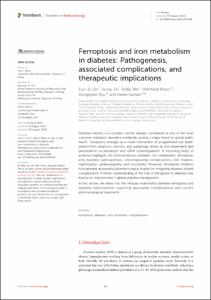 Ferroptosis and iron metabolism in diabetes: Pathogenesis, associated complications, and therapeutic implications