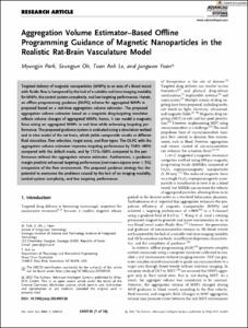 Aggregation Volume Estimator-Based Offline Programming Guidance of Magnetic Nanoparticles in the Realistic Rat-Brain Vasculature Model