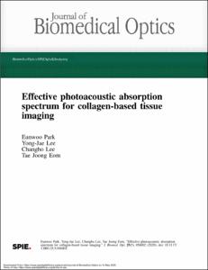 Effective photoacoustic absorption spectrum for collagen-based tissue imaging