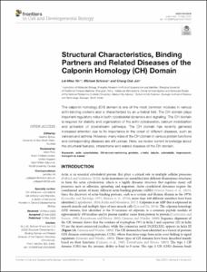 Structural Characteristics, Binding Partners and Related Diseases of the Calponin Homology (CH) Domain