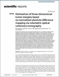Delineation of three-dimensional tumor margins based on normalized absolute difference mapping via volumetric optical coherence tomography