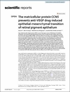 The matricellular protein CCN5 prevents anti-VEGF drug-induced epithelial-mesenchymal transition of retinal pigment epithelium