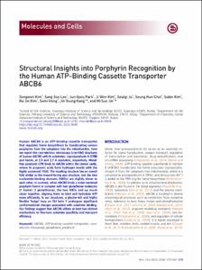 Structural Insights into Porphyrin Recognition by the Human ATP-Binding Cassette Transporter ABCB6
