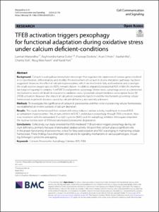 TFEB activation triggers pexophagy for functional adaptation during oxidative stress under calcium deficient-conditions
