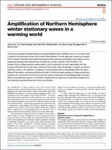Amplification of Northern Hemisphere winter stationary waves in a warming world