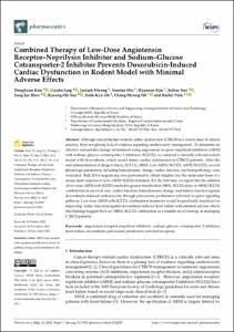 Combined Therapy of Low-Dose Angiotensin Receptor–Neprilysin Inhibitor and Sodium–Glucose Cotransporter-2 Inhibitor Prevents Doxorubicin-Induced Cardiac Dysfunction in Rodent Model with Minimal Adverse Effects