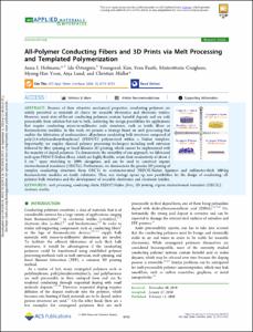All-Polymer Conducting Fibers and 3D Prints via Melt Processing and Templated Polymerization