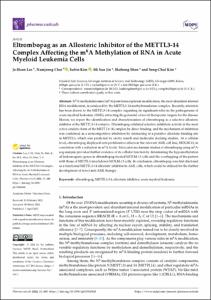 Eltrombopag as an Allosteric Inhibitor of the METTL3-14 Complex Affecting the m(6)A Methylation of RNA in Acute Myeloid Leukemia Cells
