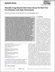 Wearable Image-Based Colorimetric Sensor for Real-Time Gas Detection with High Chromaticity