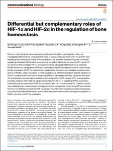 Differential but complementary roles of HIF-1α and HIF-2α in the regulation of bone homeostasis